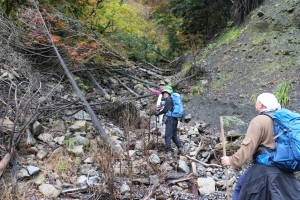 【千葉西】20161115　青年会　七面山雨畑山道復興山行　崩壊した雨畑参道（出発地点より付近）